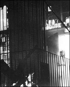 Wem Town Hall ghost photo